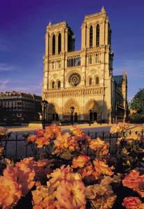 obrázok puzzlí Puzzle 500 Notre Dame