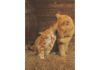 Puzzle 500 Ginger Cats