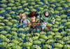 Puzzle 1000 Toy Story 4