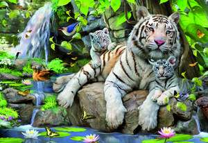 obrázok puzzlí Puzzle 1000 White Tigers of Bengal