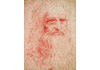 Puzzle 1500 Leonardo, Autoportrét