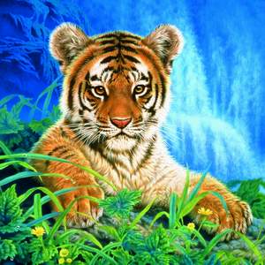 obrázok puzzlí Puzzle 1000  Malý tiger