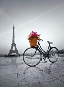 obrázok puzzlí Puzzle 500 Romantic promenade in Paris