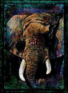 obrázok puzzlí Puzzle 1000 Pane, Africký slon